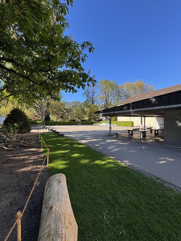 Openair Kino Altstätten: Vom 23. Juli bis 8. Juli findet das Sommerkino auf dem Schulhaus Bild statt.