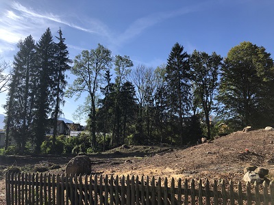 Bäume Donnerbach