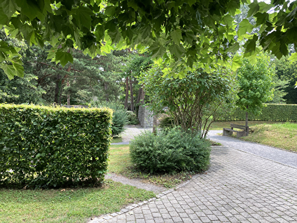 Offener Friedhofgarten: Am 20. September laden die beiden Kirchgemeinden und die Stadt Altstätten zum Tag des Friedhofs. 