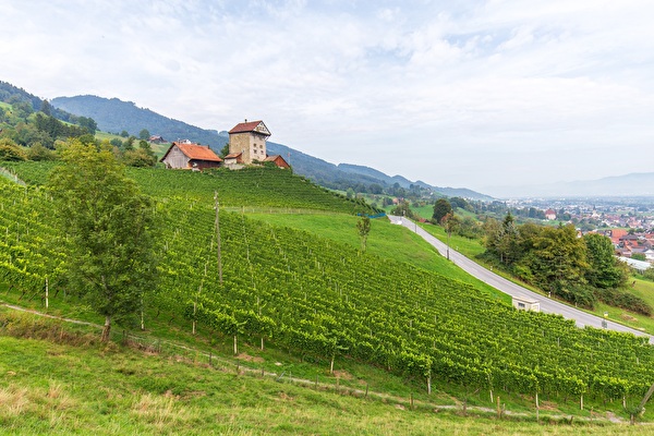 Burg Neu Altstätten