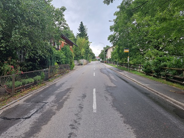 Heidenerstrasse