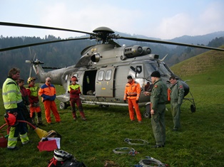 Ausflug der Holzstämme