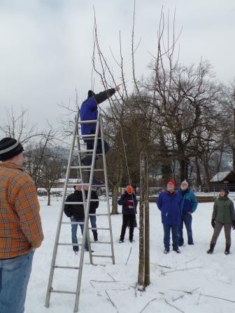 Baumschneidekurs in Lüchingen am 7. Februar 2015