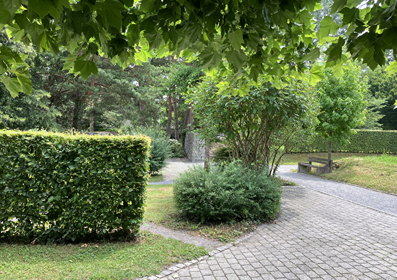 Offener Friedhofgarten: Am 20. September laden die beiden Kirchgemeinden und die Stadt Altstätten zum Tag des Friedhofs. 