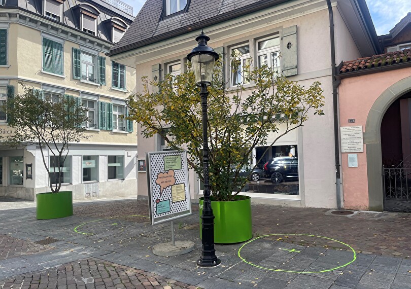 Stadtbäume in der Marktgasse