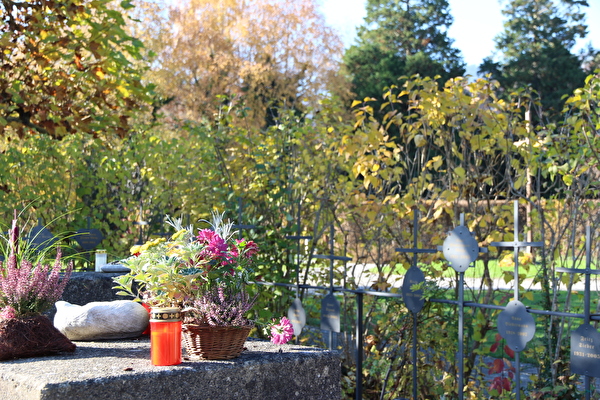 Foto Friedhof