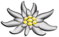 Edelweiss