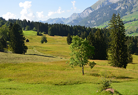 Vernetzung und Landschaftsqualität