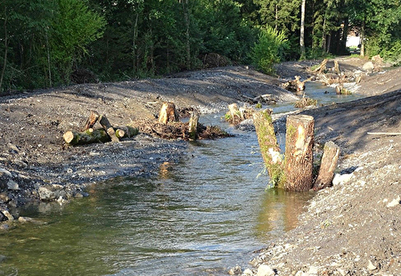 Revitalisierung Grabserbach