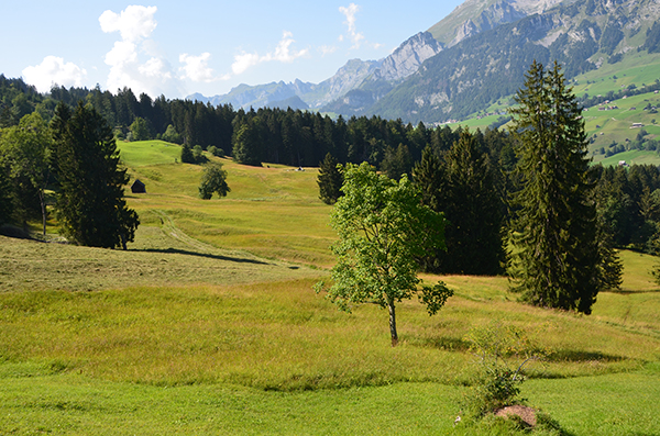 Vernetzung und Landschaftsqualität