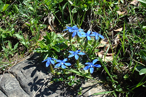 Natur- und Waldlehrpfad