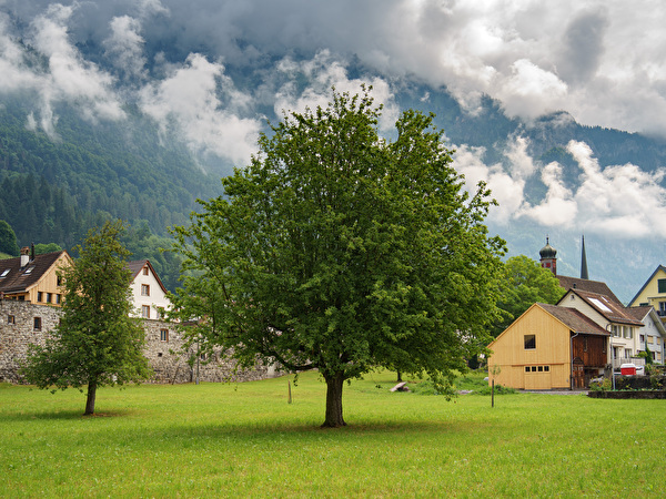 Städtlibungert