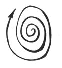Entwicklung