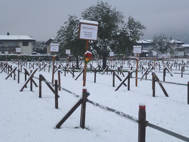 wurde infolge Schneefall abgesagt
