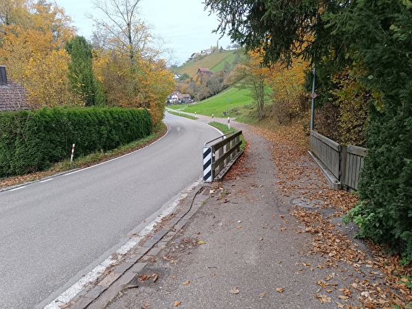 Hombrechtigerstrasse