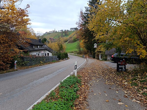 Hombrechtikerstrasse