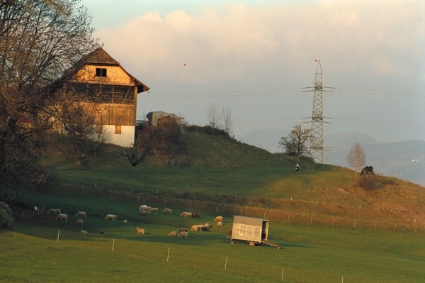 Landwirtschaftsprojekt