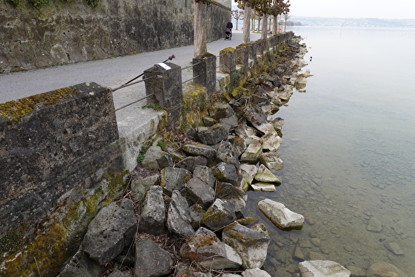 Sanierung Ufermauer Bühlerallee