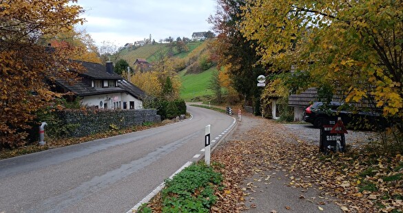 Hombrechtikerstrasse