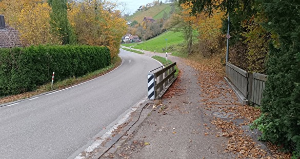 Hombrechtigerstrasse