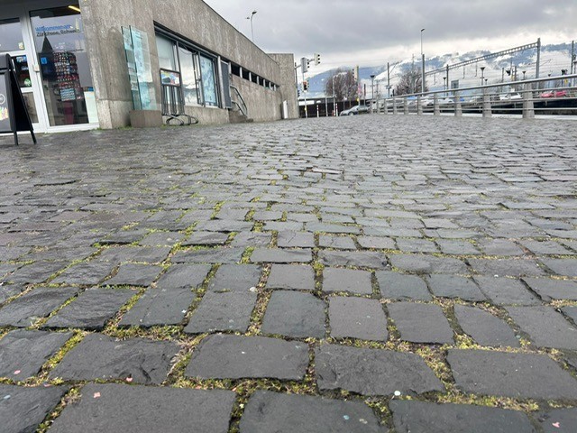 Stadt Rapperswil-Jona - Instandstellungsarbeiten am Fischmarktplatz