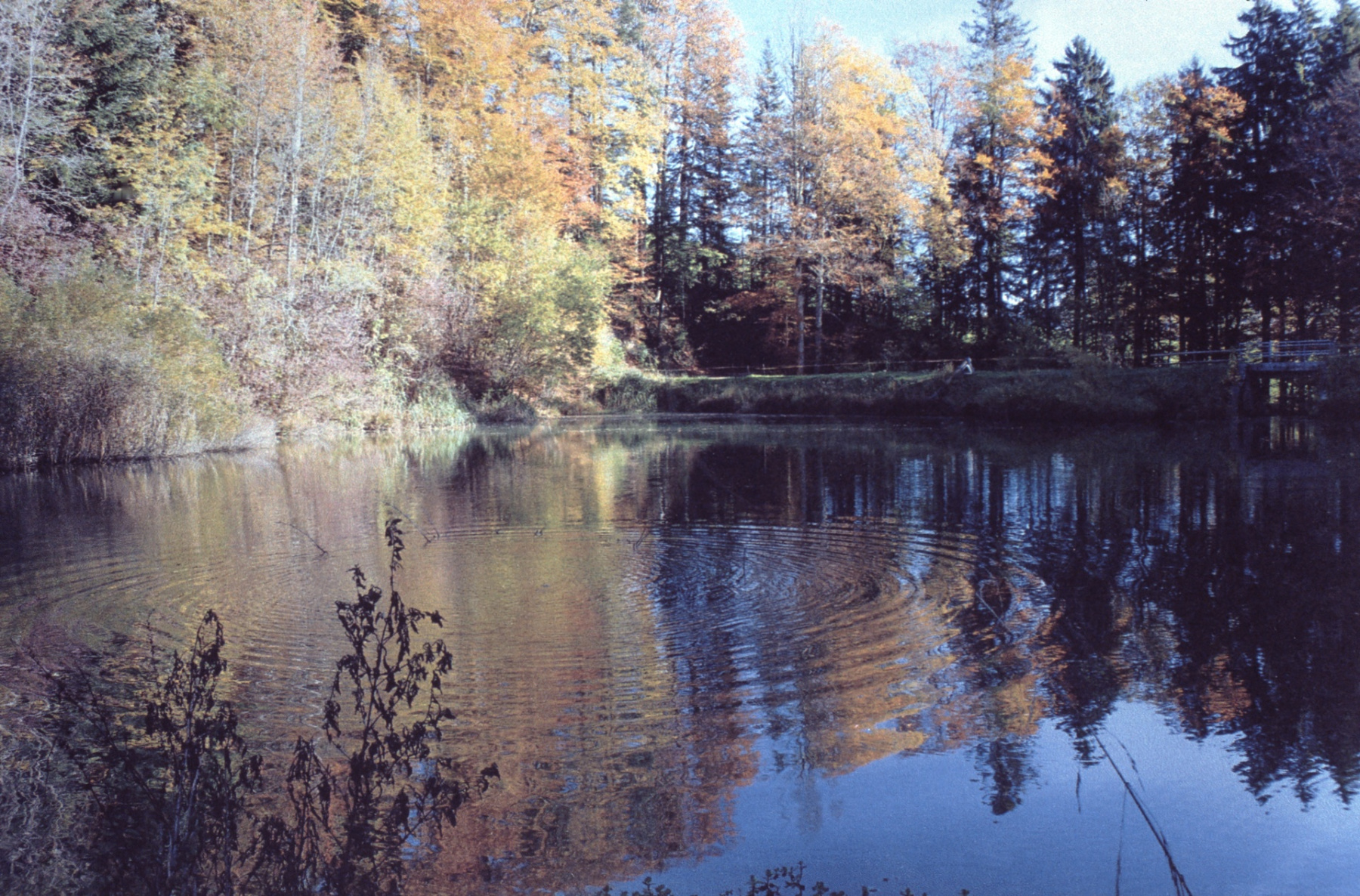 Titelbild der Rubrik