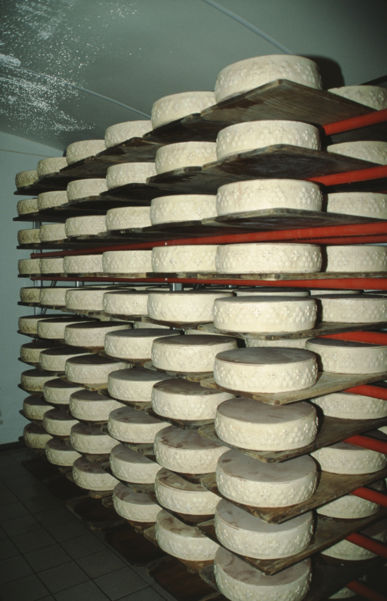 Titelbild der Rubrik