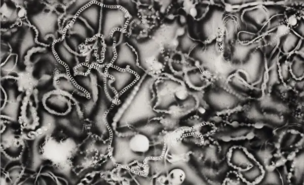 Tracks and Traces