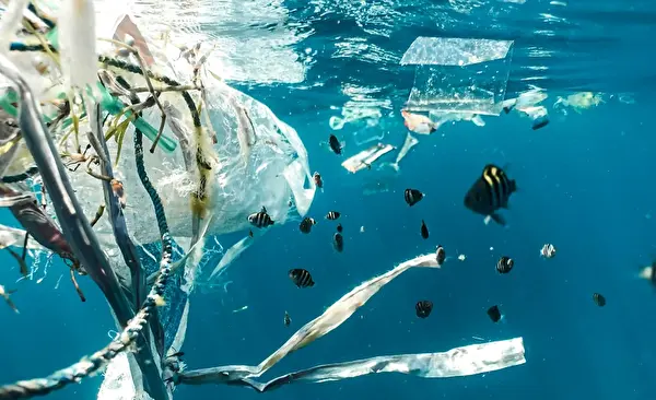 Dem Mikroplastik auf der Spur