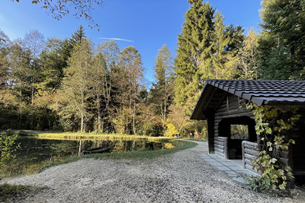 Das Bild zeigt die Hütte am Aspisee