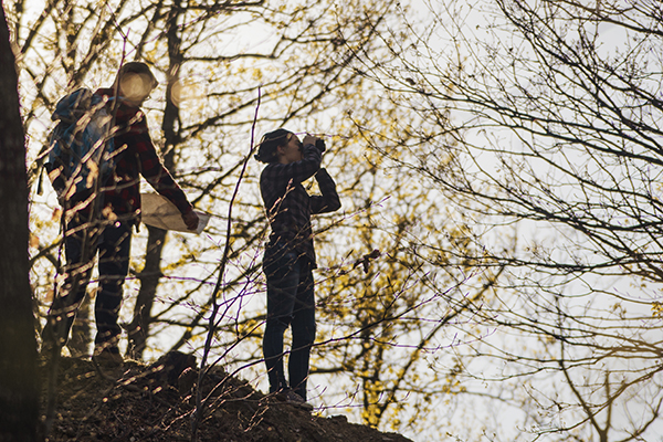 Themenbild zu Führung und Kooperation