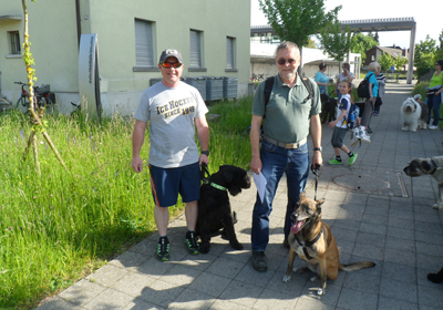 Kynologischer Verein Langenthal mit Riesenschnauzer WM OK