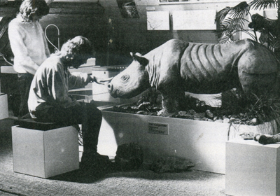 Langenthaler Nashorn