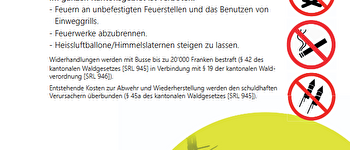 Plakat Feuerverbot im Wald und Waldesnähe