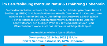 Flyer Präsidialjahresanlass BBZN