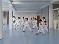 Shotokan Karate Seetal