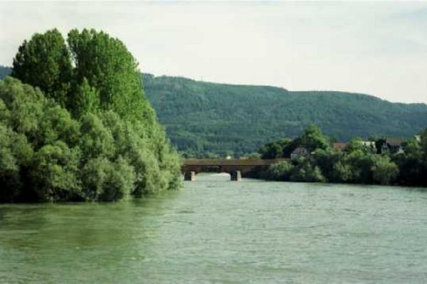 Ein letzter Blick rheinaufwärts zur längsten gedeckten Holzbrücke in Eurpoa.