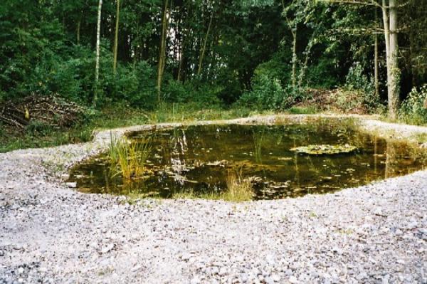 Ein Paradies für Amphibien.
