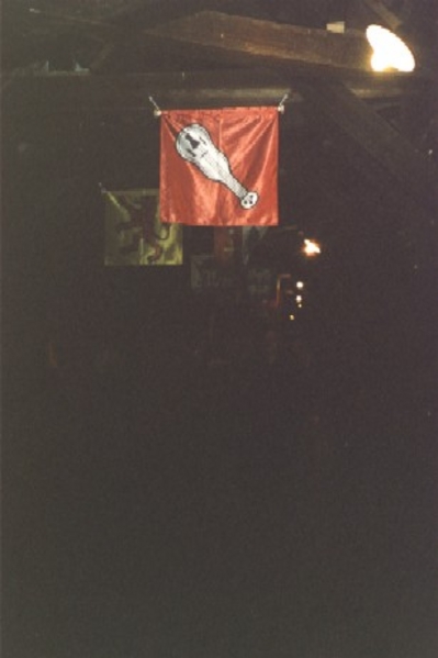 Auch die Steiner Flagge ziert die Brücke.