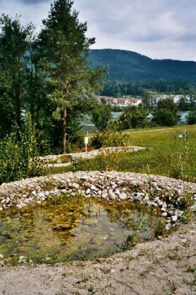 Die Tümpel.
