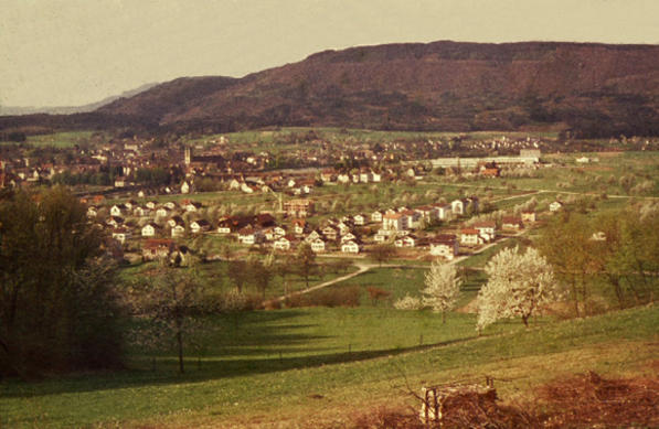 Panorama, 1960
