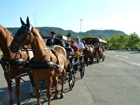 Am 29. Juni 2004 traf sich der Gemeinderat mit dem Bad Säckinger Bürgermeister Martin Weissbrodt und einer Delegation des Gemeinderates und der Verwaltung der Nachbarstadt.