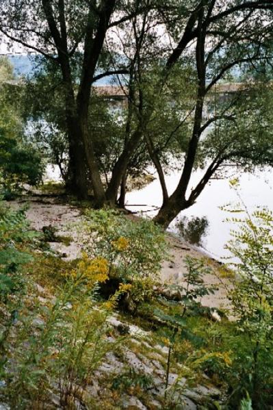 Was wohl die wenigsten Besucher von Stein wissen - oberhalb der Holzbrücke steht der Bevölkerung ein richtiger Badestrand zur Verfügung.
