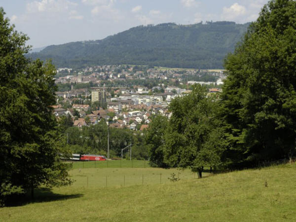 Panorama, 2006
