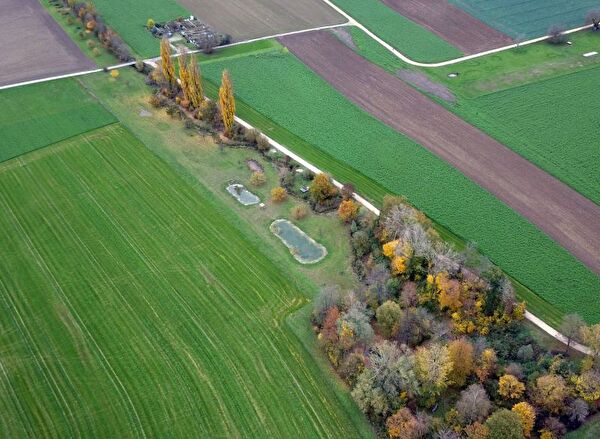 Biotop Bustelbach