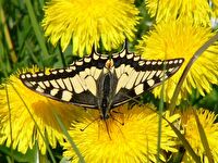 Leben im Naturschutzgebiet