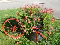 Schubkarre mit Blumenfass