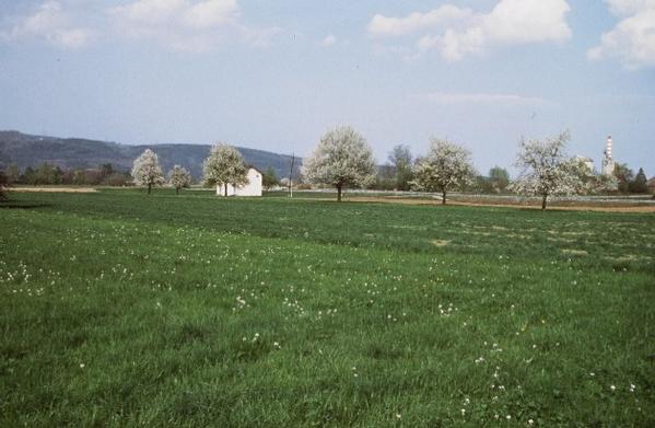 Grundwasserpumpwerk, 1982
