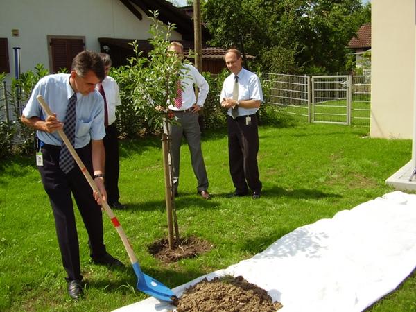 Die drei Werkleiter der involvierten Konzerne und Gemeindeammann Bühler pflanzen einen Apfelbaum.
