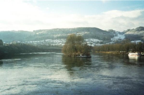 Die Fridolinsinsel in winterlicher Umgebung.